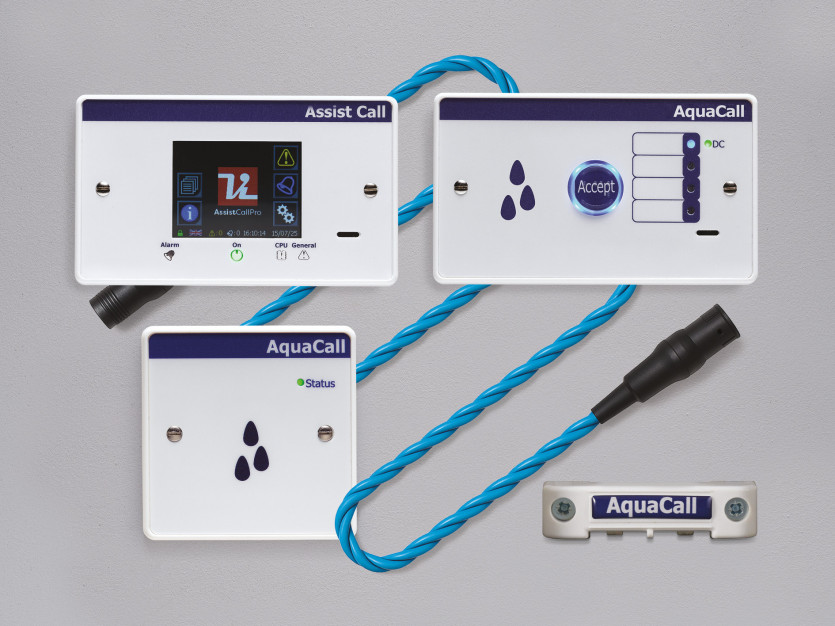 Environmental Protection: Early Water Leak Detection for Historic Assets - General Maintenance
